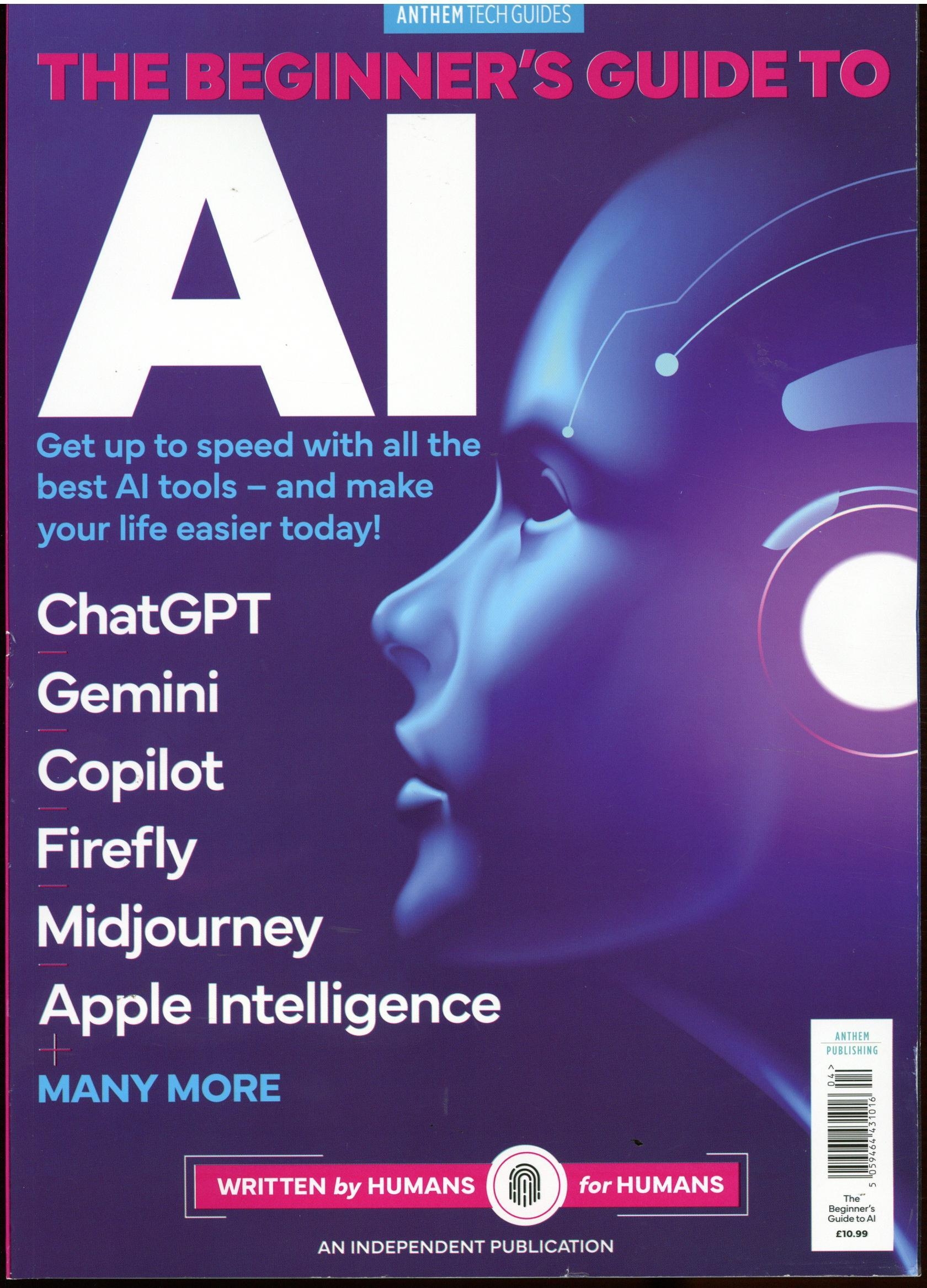 Beginners Guide to AI