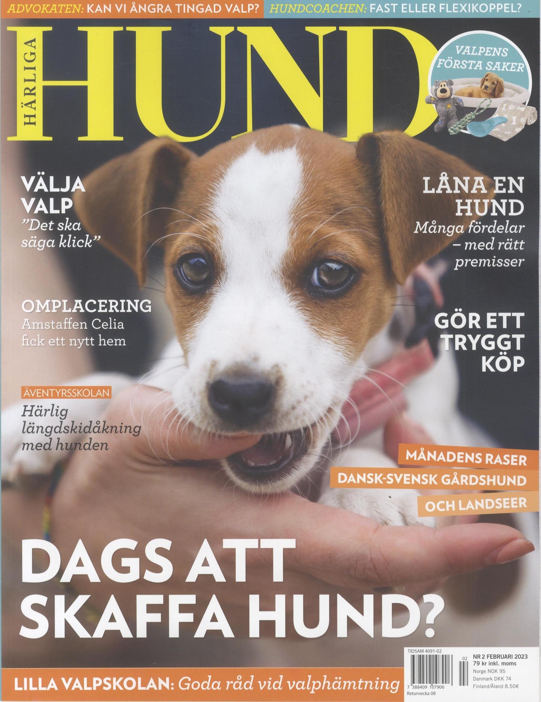 Härliga Hund