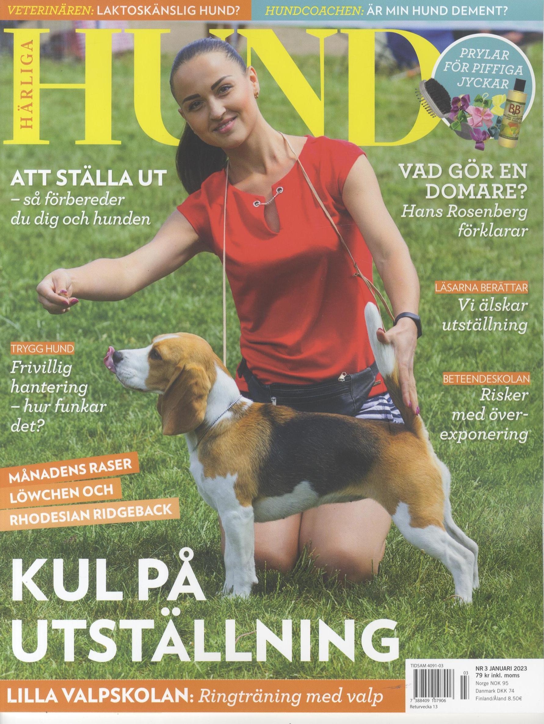 Härliga Hund