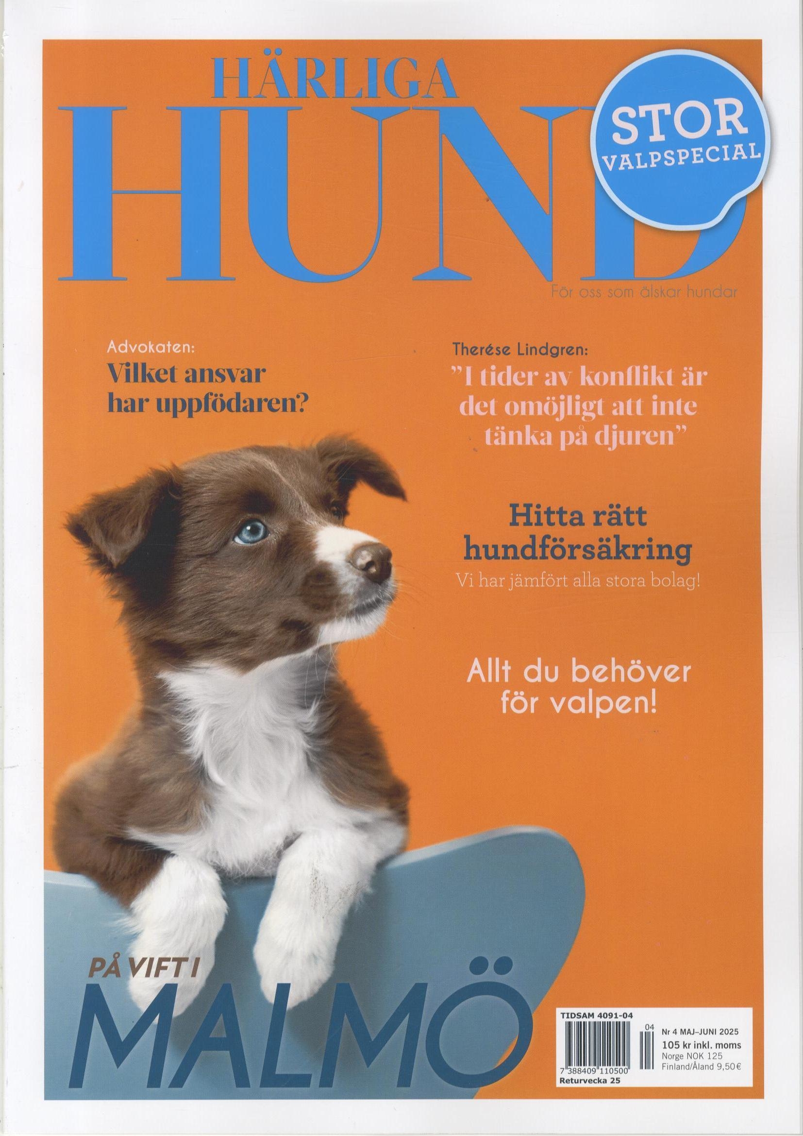 Härliga Hund
