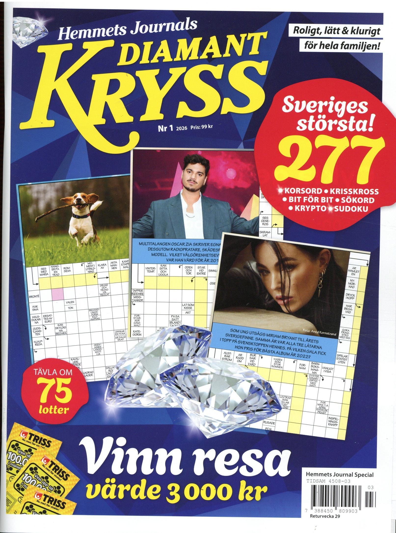 HemJourSpec Diamantkryss