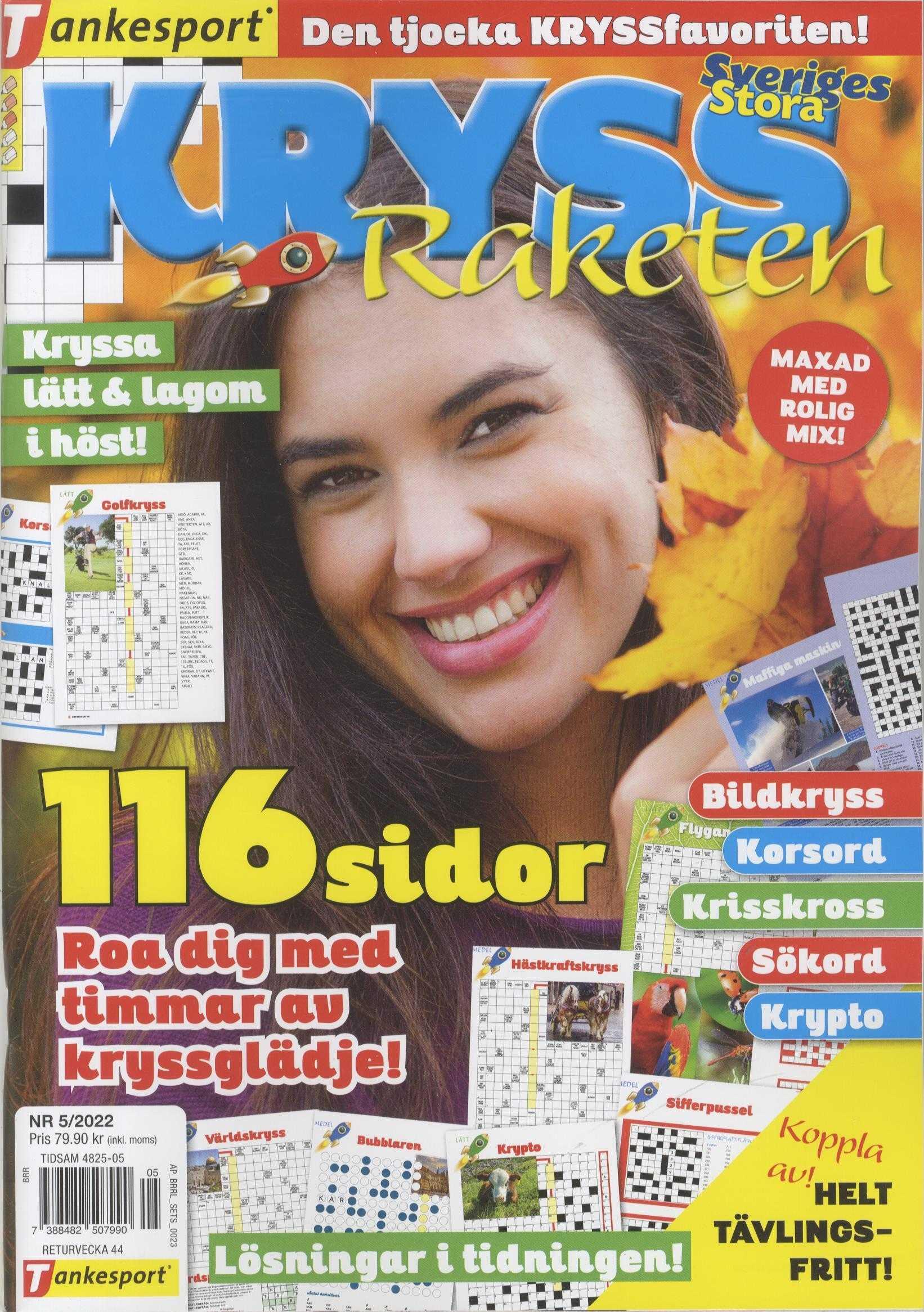KryssRaketen