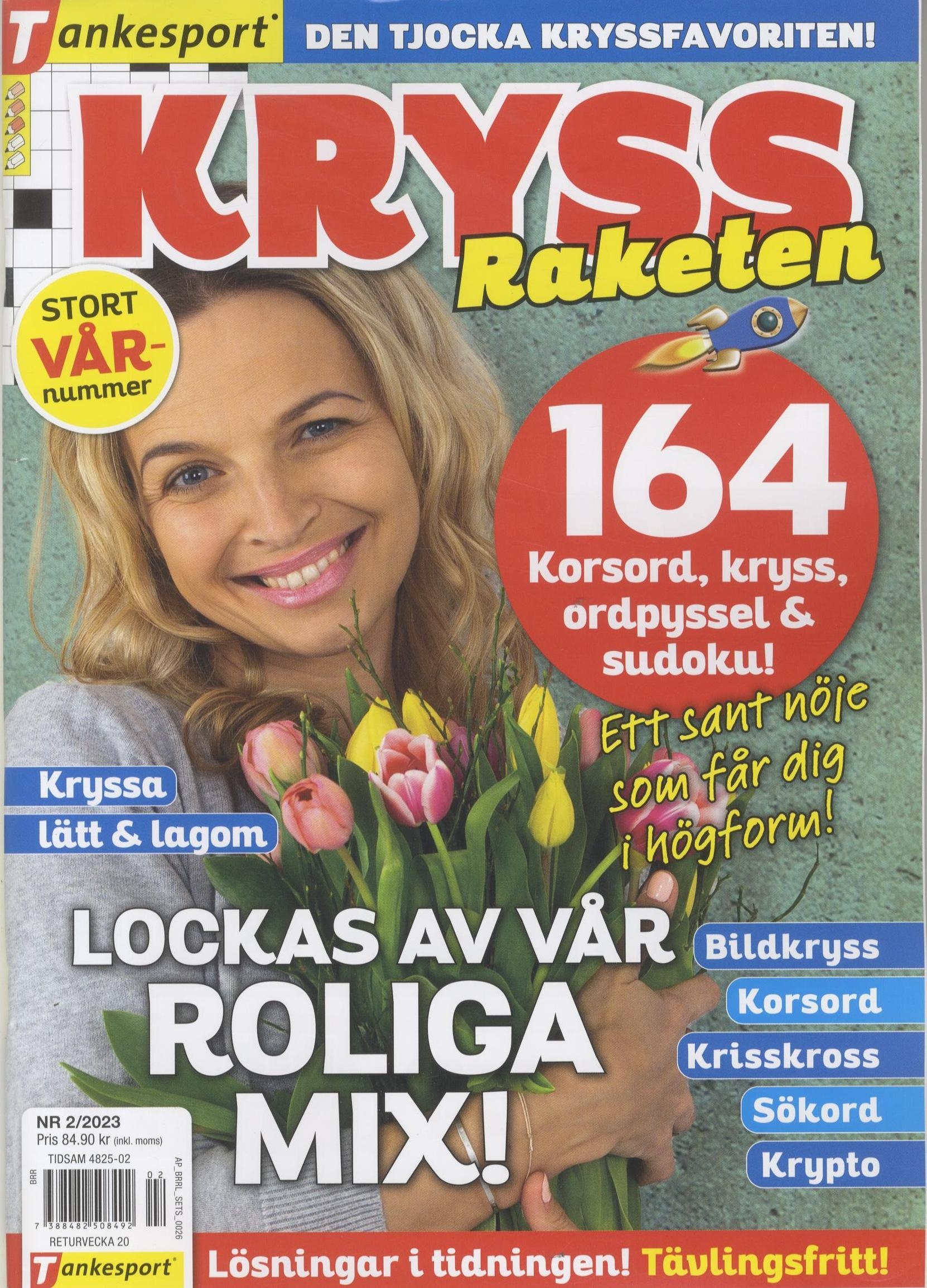 KryssRaketen