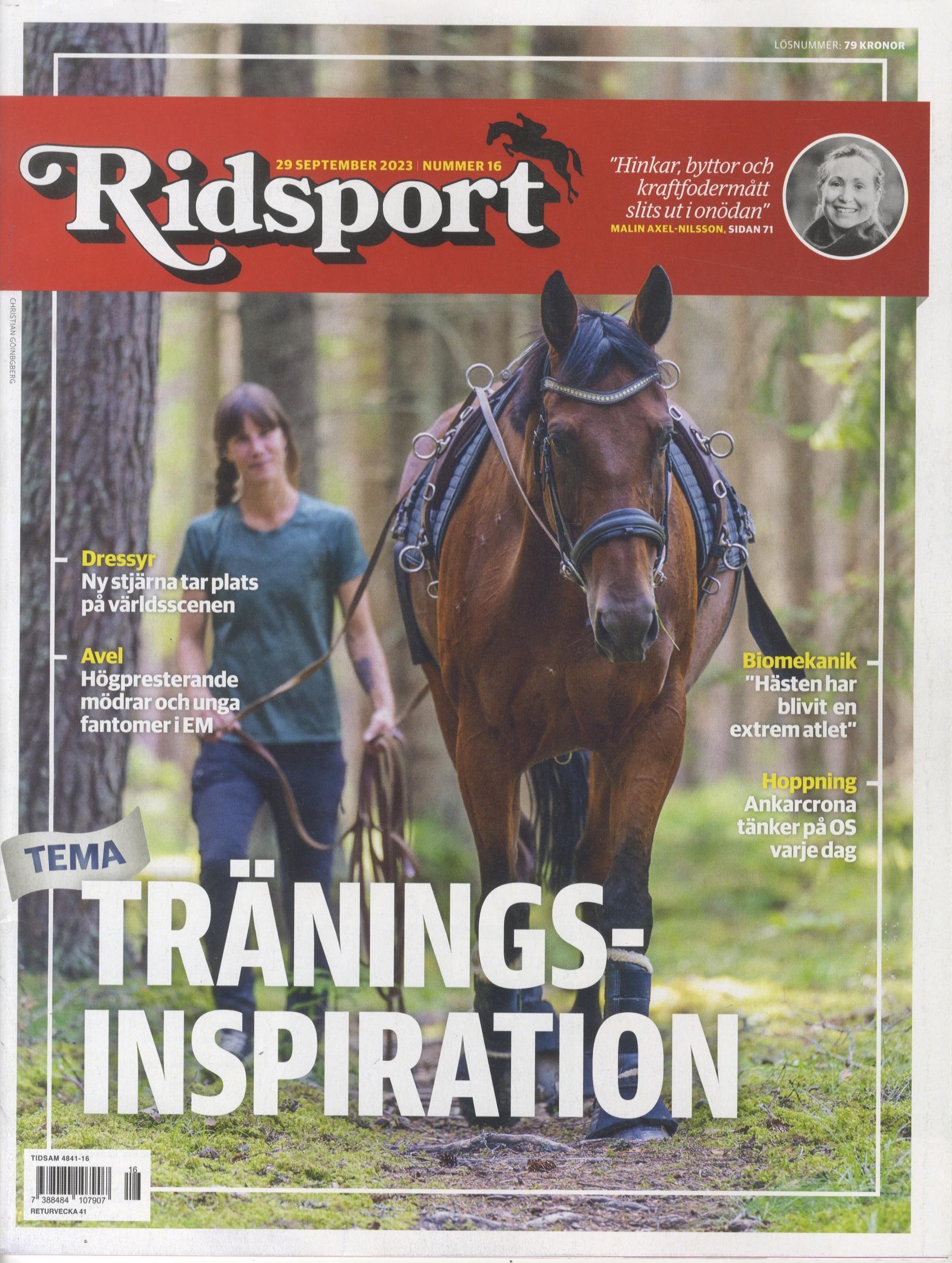 Ridsport