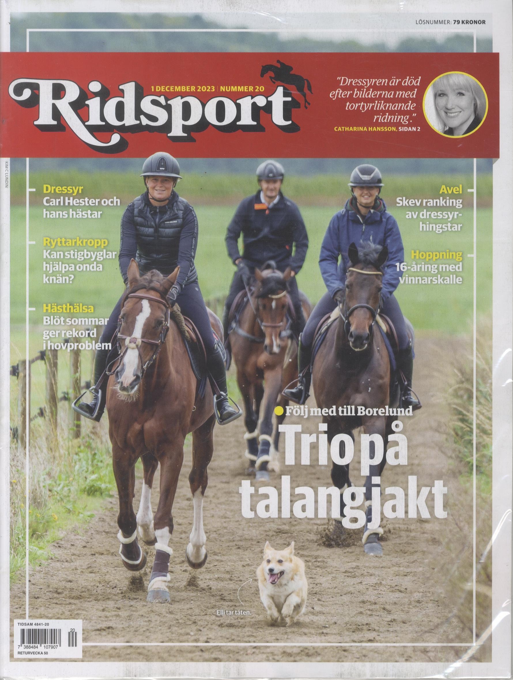 Ridsport