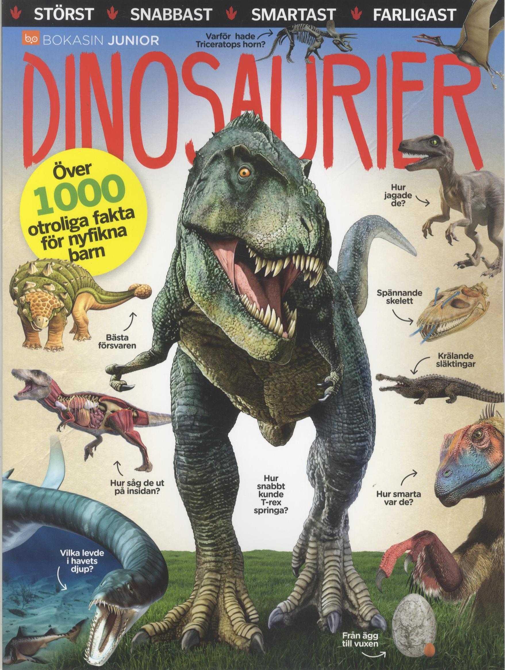 BokasinJunior Dinosaurier