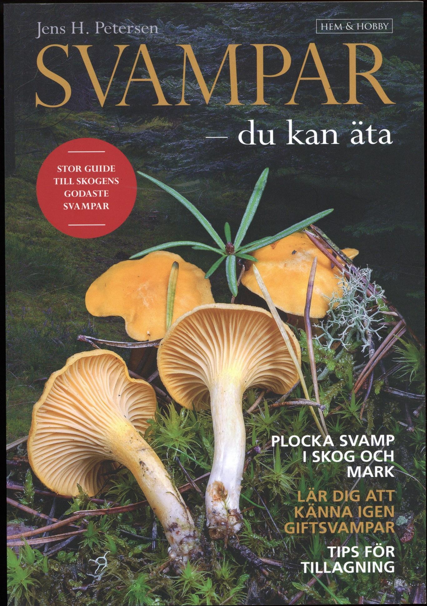 Hem & Hobby Svampar