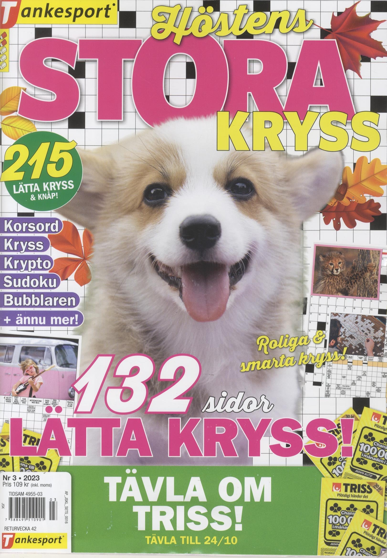 TS Höstens Stora Kryss
