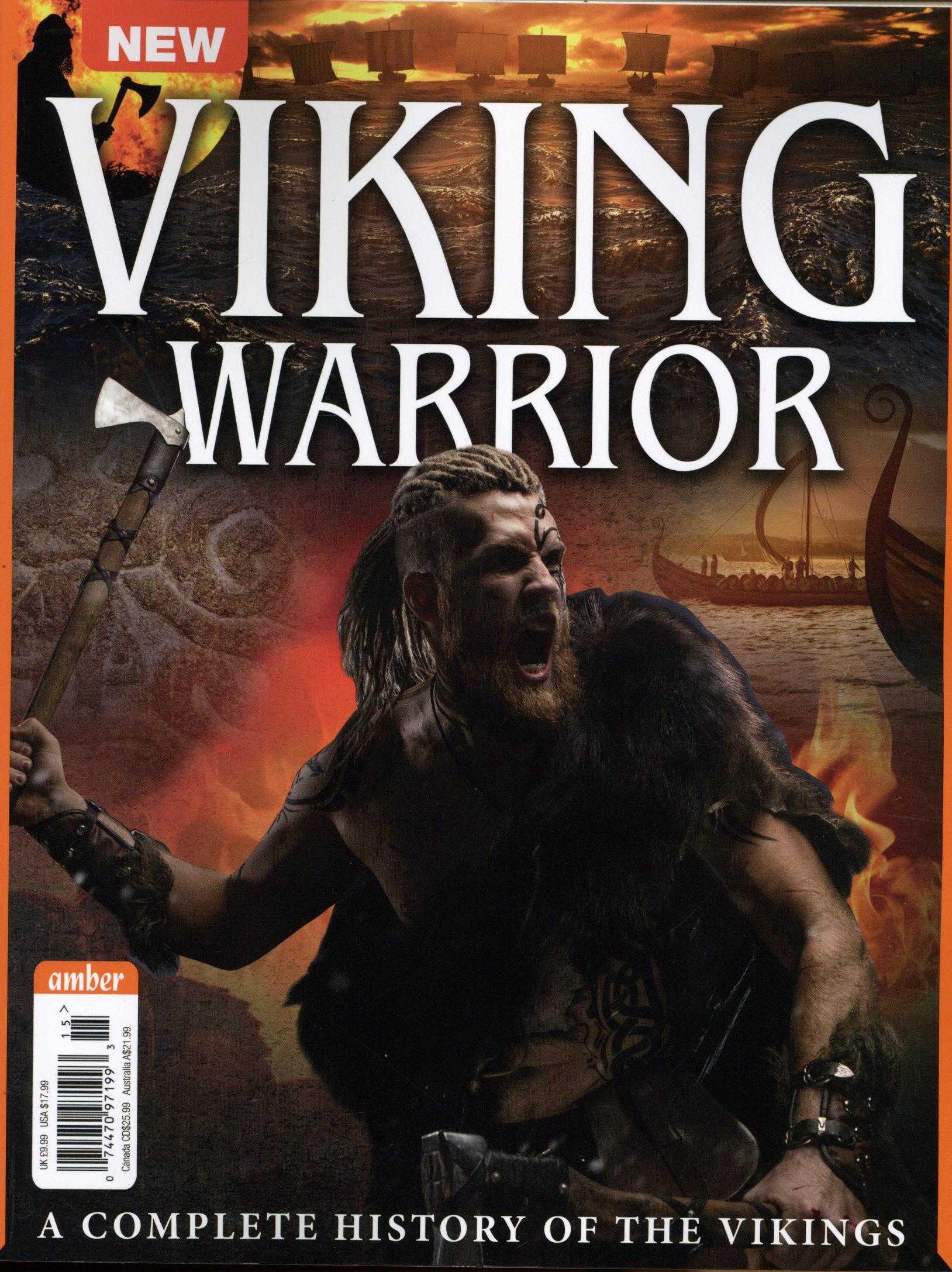 Viking Warrior