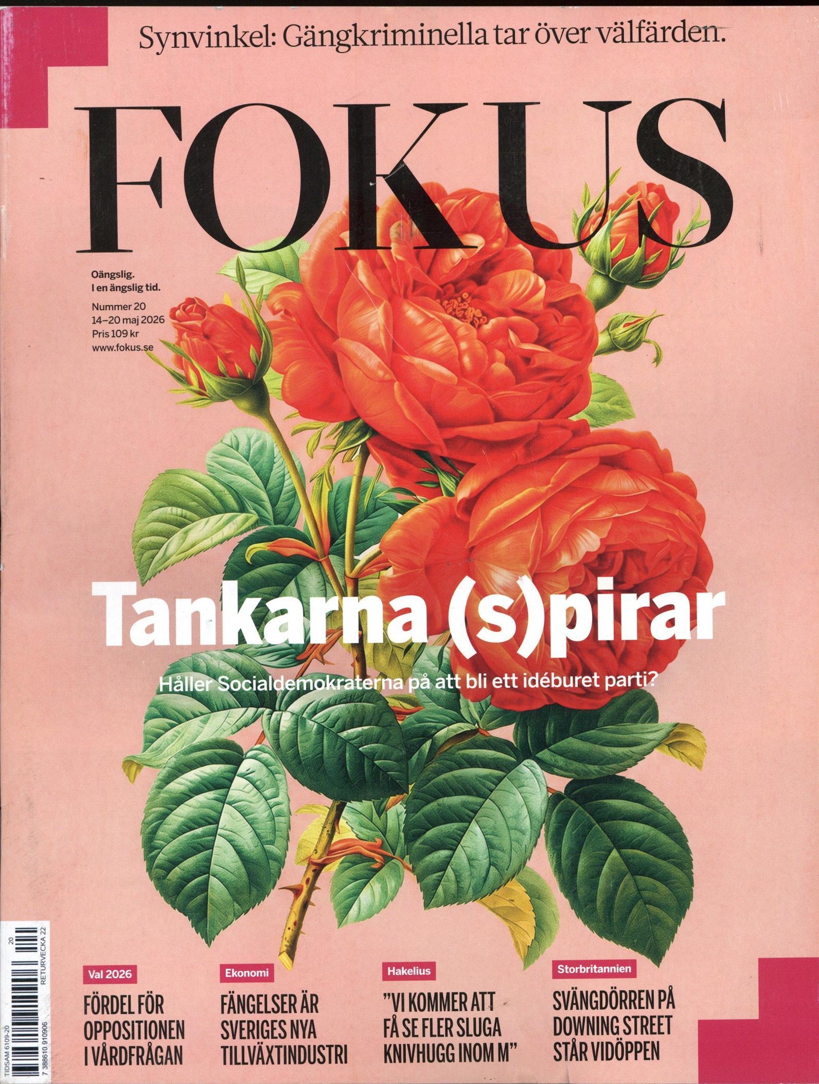 Fokus