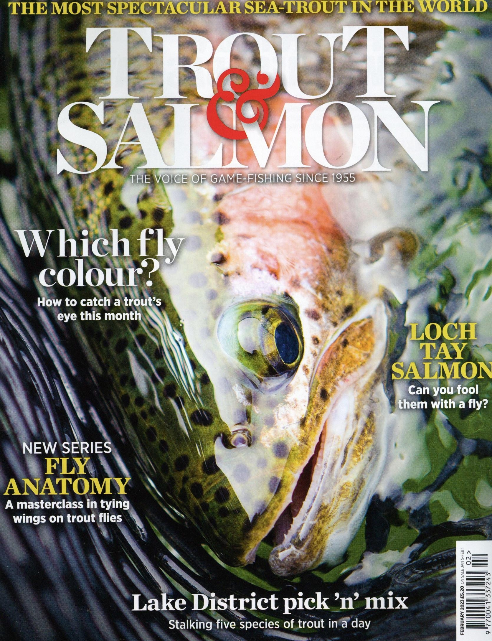 Trout And Salmon