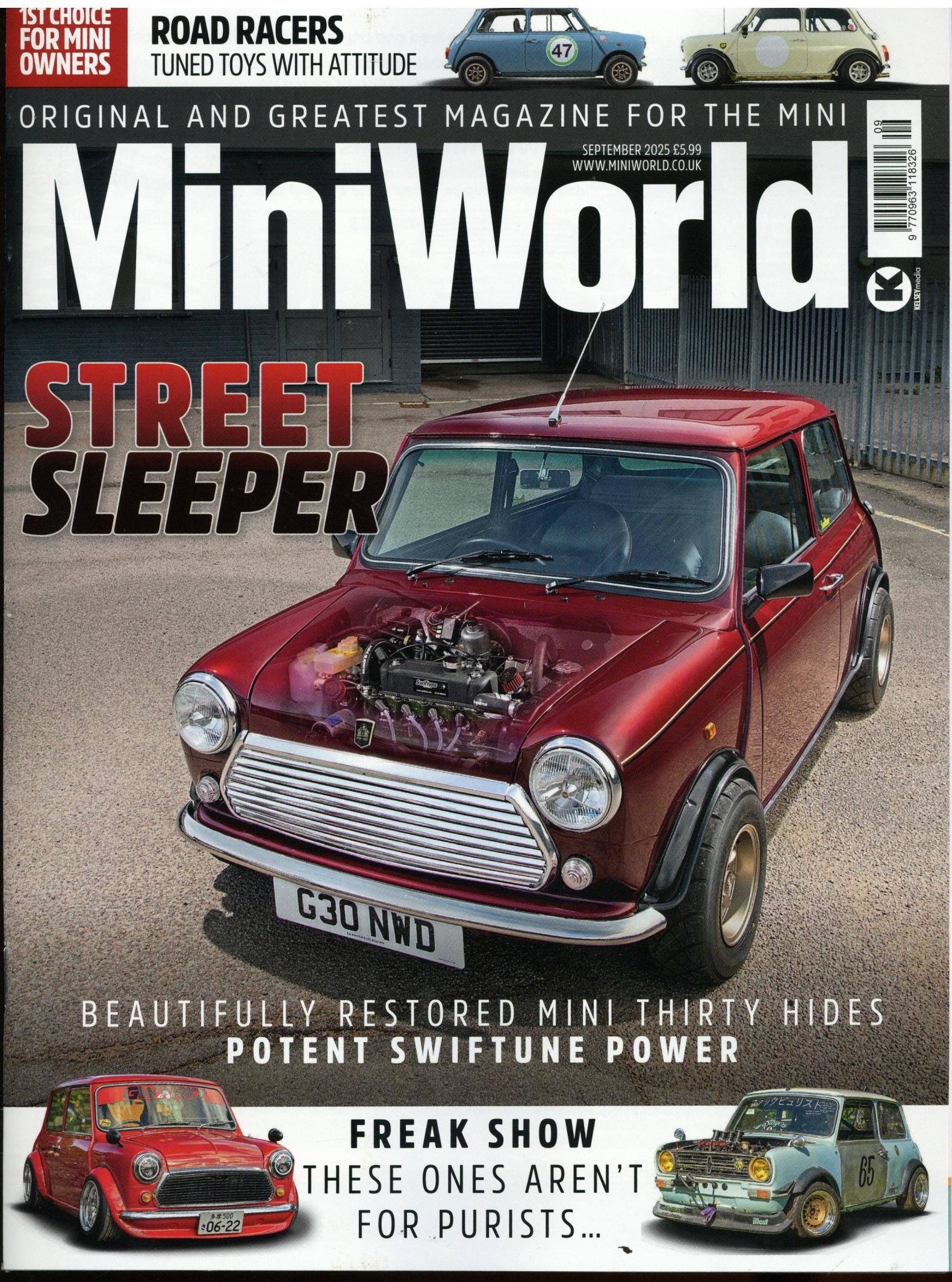 Mini World