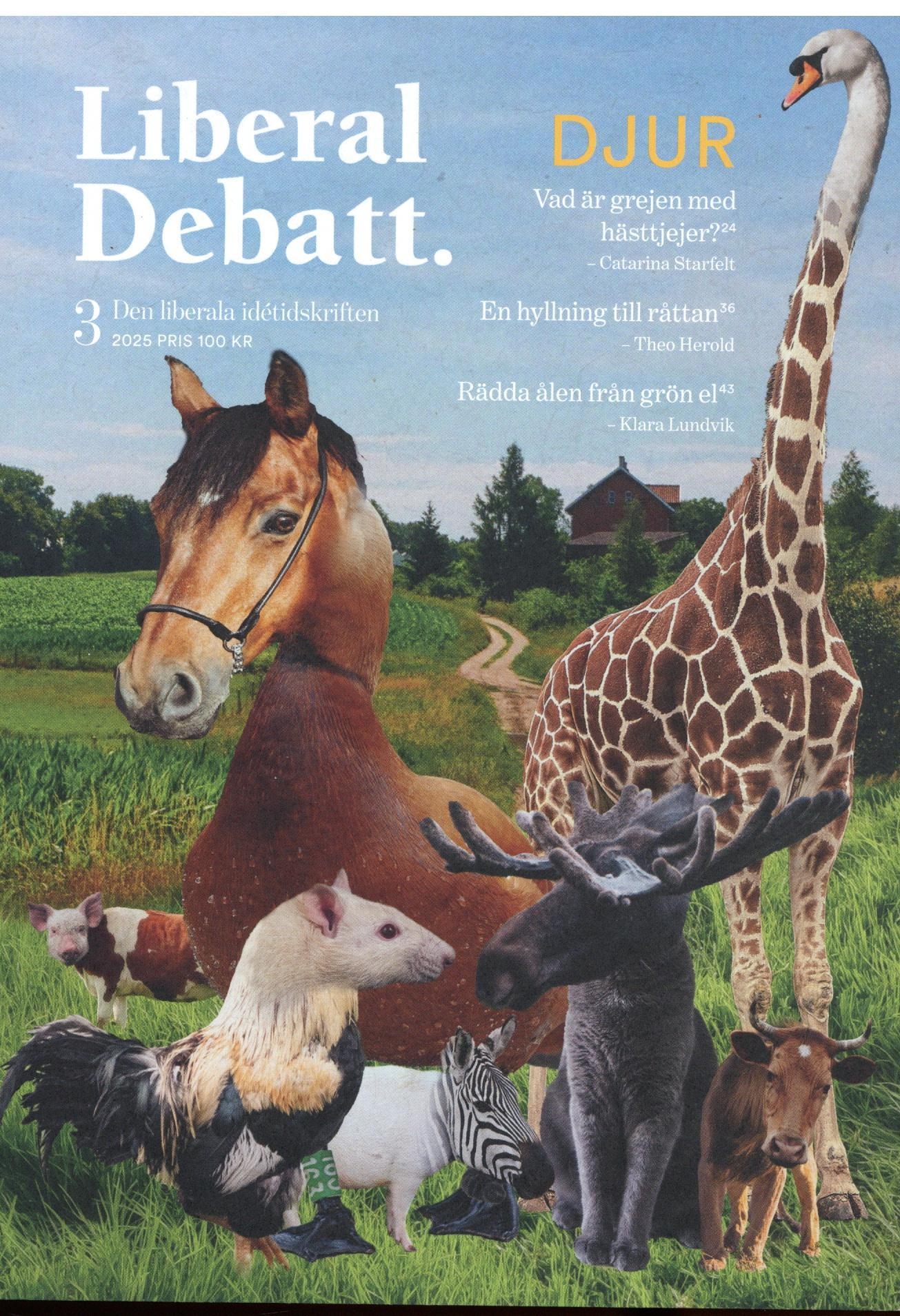 Liberal Debatt